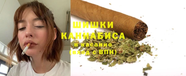 крисы Медвежьегорск