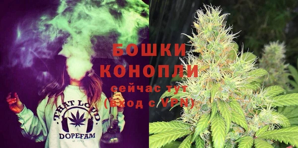 PSILOCYBIN Медногорск