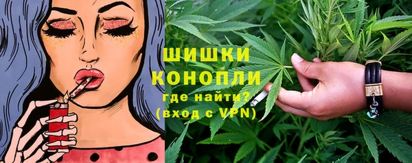 крисы Медвежьегорск