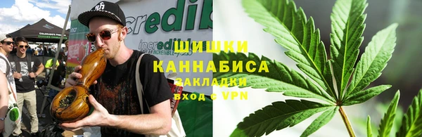 крисы Медвежьегорск