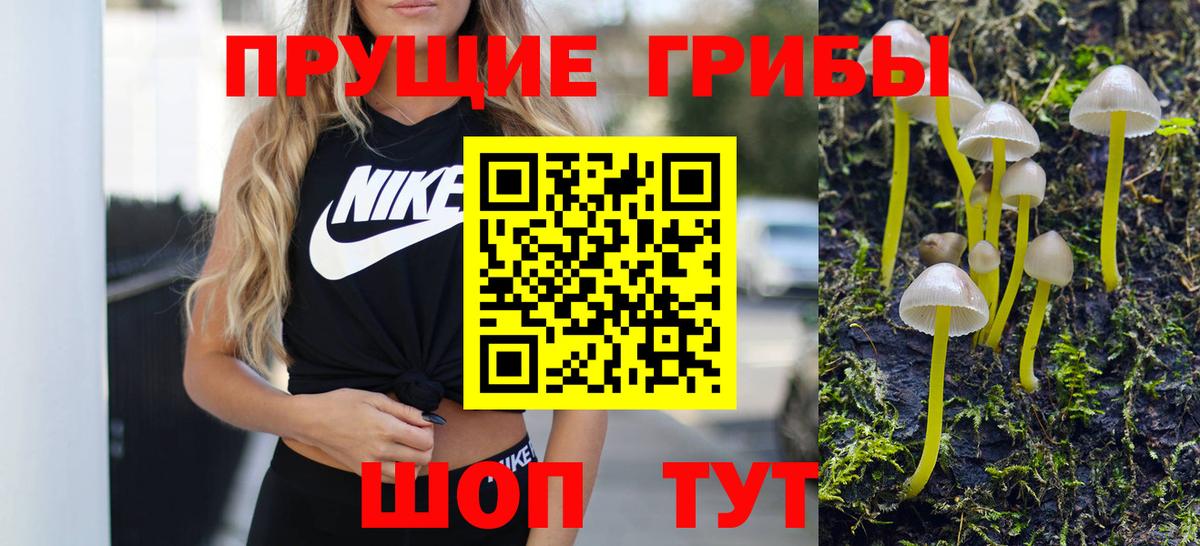 Галлюциногенные грибы MAGIC MUSHROOMS  Вход с VPN  Липецк 