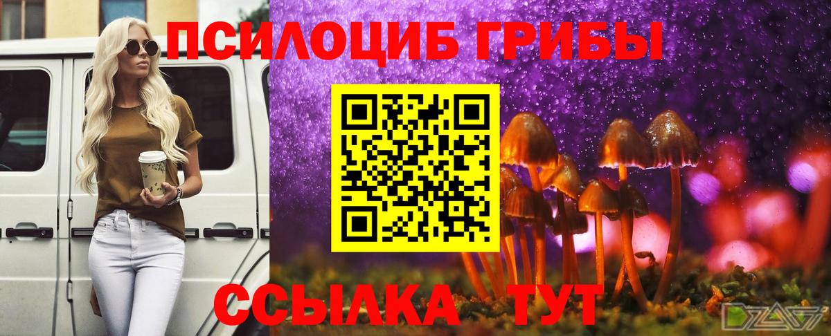 Псилоцибиновые грибы Magic Shrooms Липецк