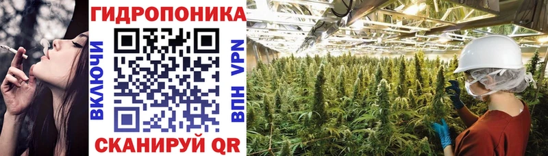 Бошки марихуана THC 21%  ОМГ ОМГ онион  Липецк 